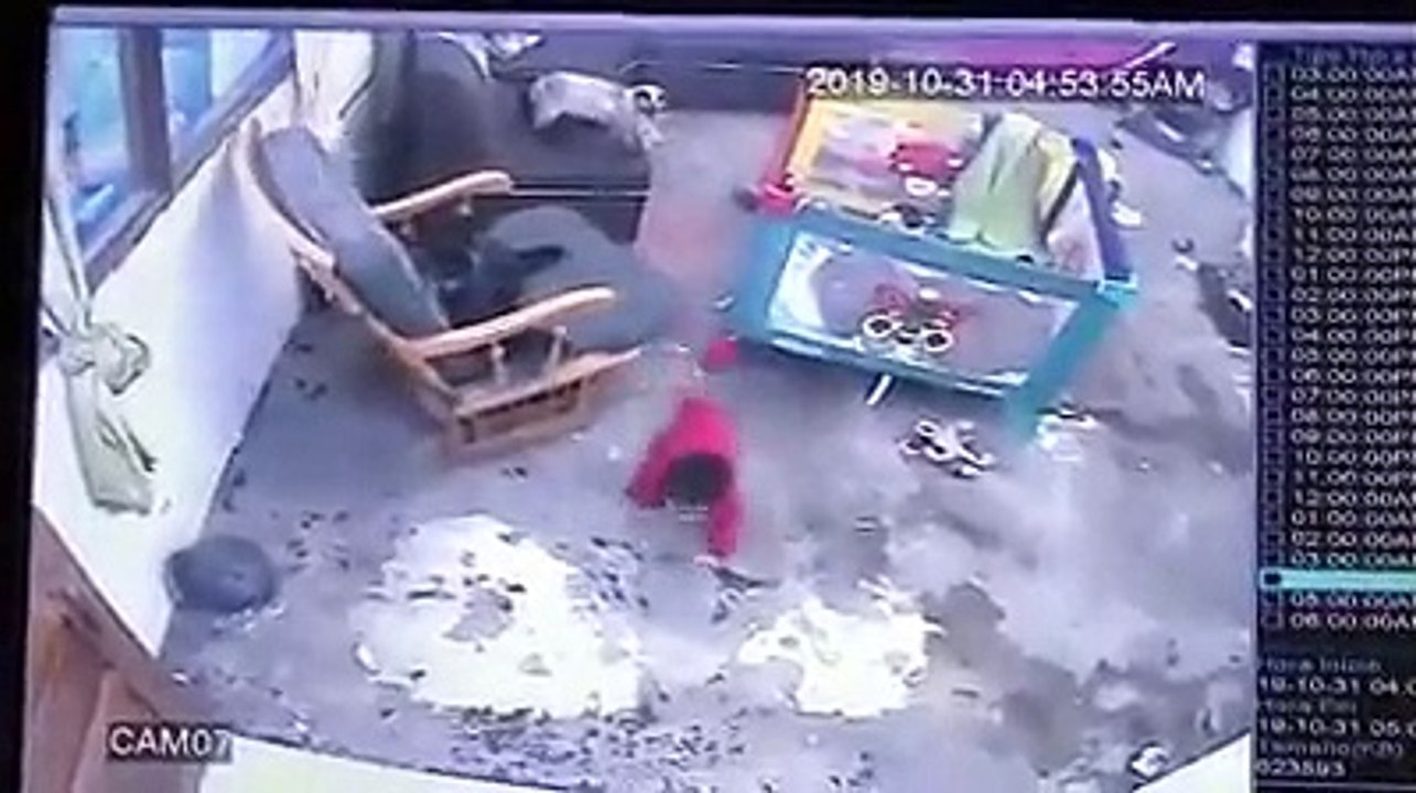 Gatubela, salvamento
