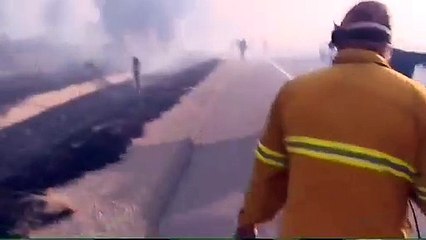 Cavalo herói. Califórnia