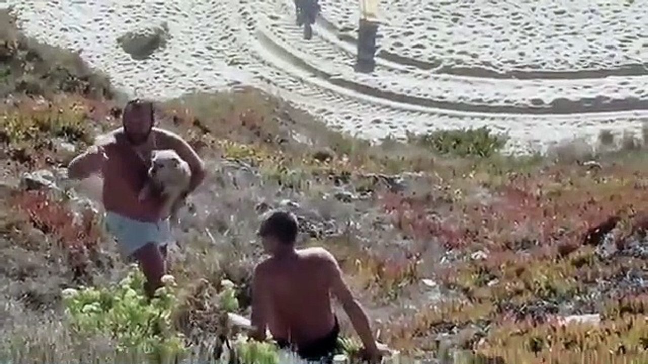 Eduardo Madeira salva cão preso numa ravina. Mulher do ator gravou tudo