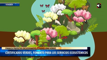 Certificados Verdes, fomento para los servicios Ecosistémicos