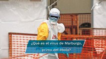Marburgo. Detectan en África primer caso de grave enfermedad hemorrágica transmitida por murciélago