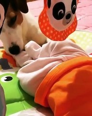 Vídeo: Joana Diniz enternece fãs com momento entre o cão e a filha bebé