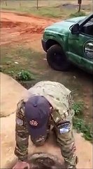 Cachorrinhos encontrados em cano de esgoto. Veja o momento do resgate