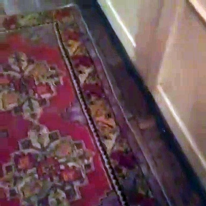 José Castelo Branco mostra reencontro com Betty Grafstein após cirurgia