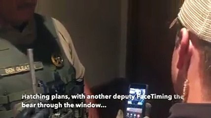 Urso relaxa em casa de banho de hotel