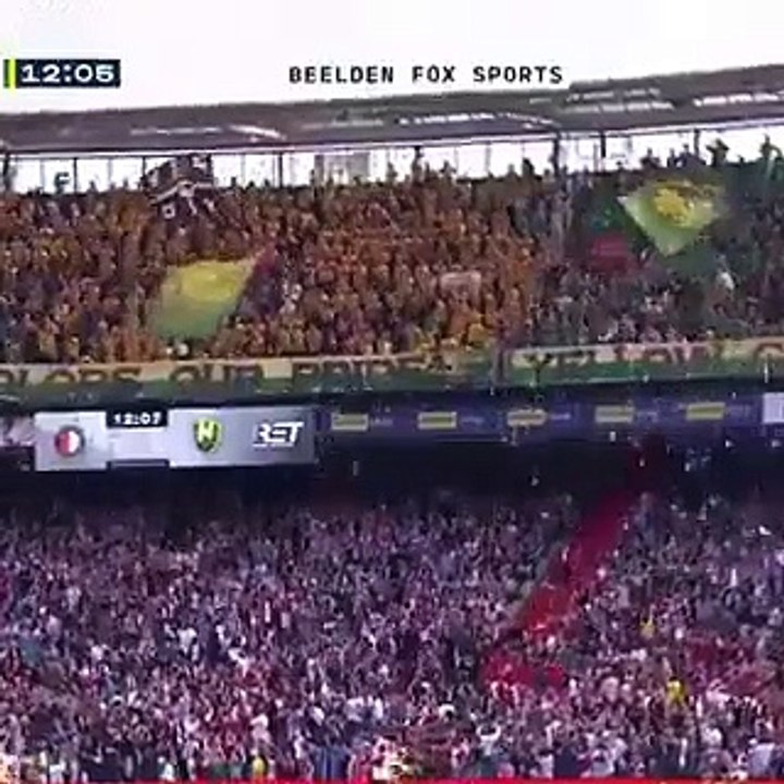 Chuva de peluches na Holanda
