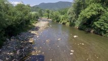 أسماك نافقة في نهر روماني .. السكان يتعبرونها كارثة والسلطات تحقق