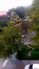 Imagens mostram as fortes chuvadas que atingiram hoje o norte do país