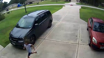 Vizinho salva menino de 6 anos de ataque de cão