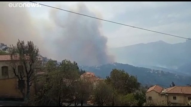 Viele Tote bei Waldbränden in Algerien