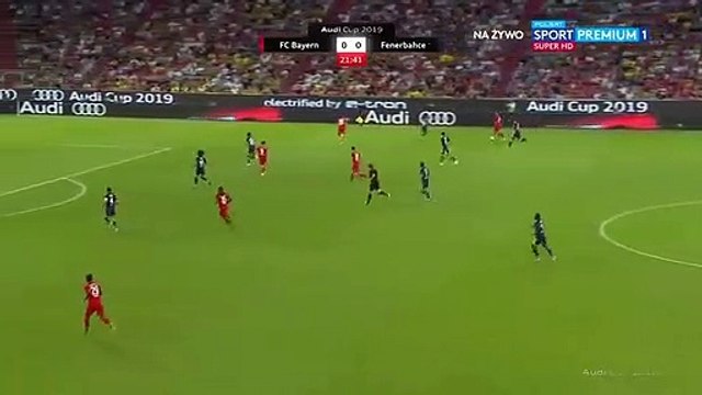 Renato Sanches