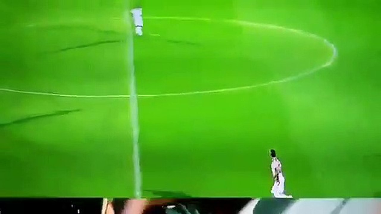 Invasão de cães