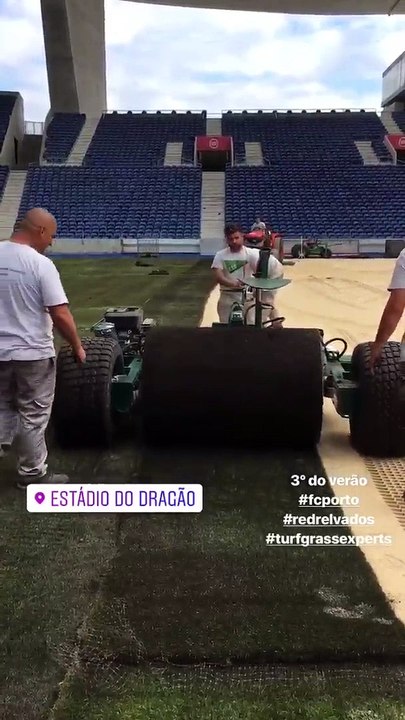 Relvado do Dragão a ser substituído