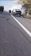 Carro incendiou-se na A1. Veja as imagens