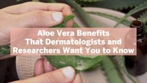 9 Aloe Vera Benefits That Dermatologists and Researchers Want You to Know