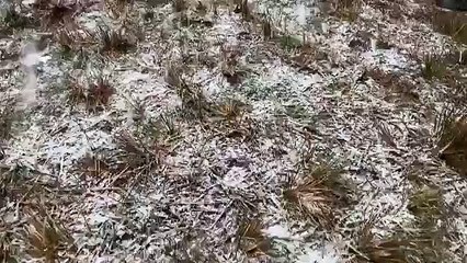 Festivaleiros ficam com hipotermia após nevar inesperadamente em França