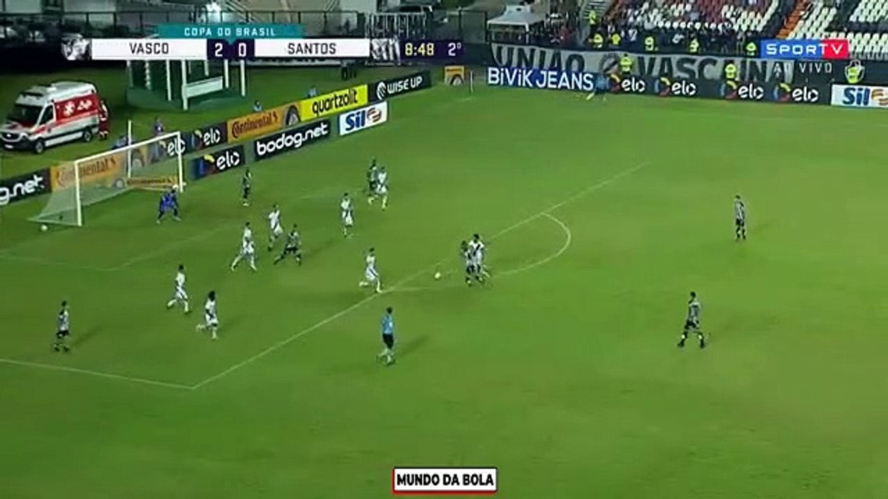 Vasco-Santos