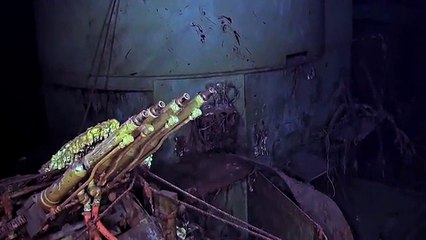 Navio da Segunda Guerra Mundial USS Wasp