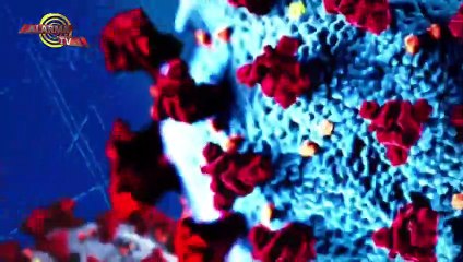 Miles De Jóvenes Se Reunen En Un Concierto Sin Importar Las Medidas De Seguridad De La Pandemia