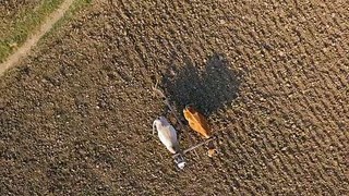 GoPro Shot of Farmland in India _ Video No 10 _ Drone Shots