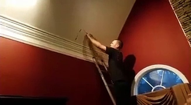 Bombeiros chamados para salvar cadela presa em tecto após caça ao esquilo