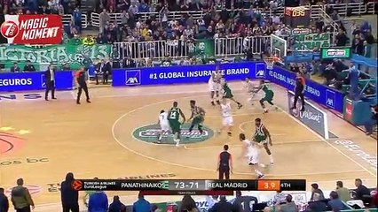 Rudy Fernandez - Real Madrid