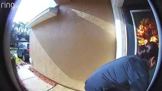 Mulher tem AVC e cadelas salvam-lhe a vida ao ir buscar ajuda nos EUA