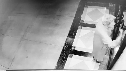 Idosa com demência fica à porta de lar após hospital lhe dar alta às 02h