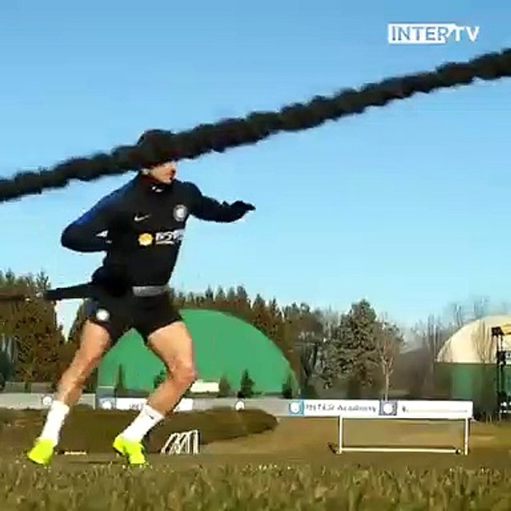 treino