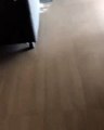 Vídeo: Filhos de Carolina Deslandes espalham farinha pelo chão da sala