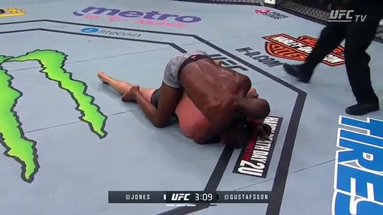 Jon Jones vs. Alexander Gustafsson