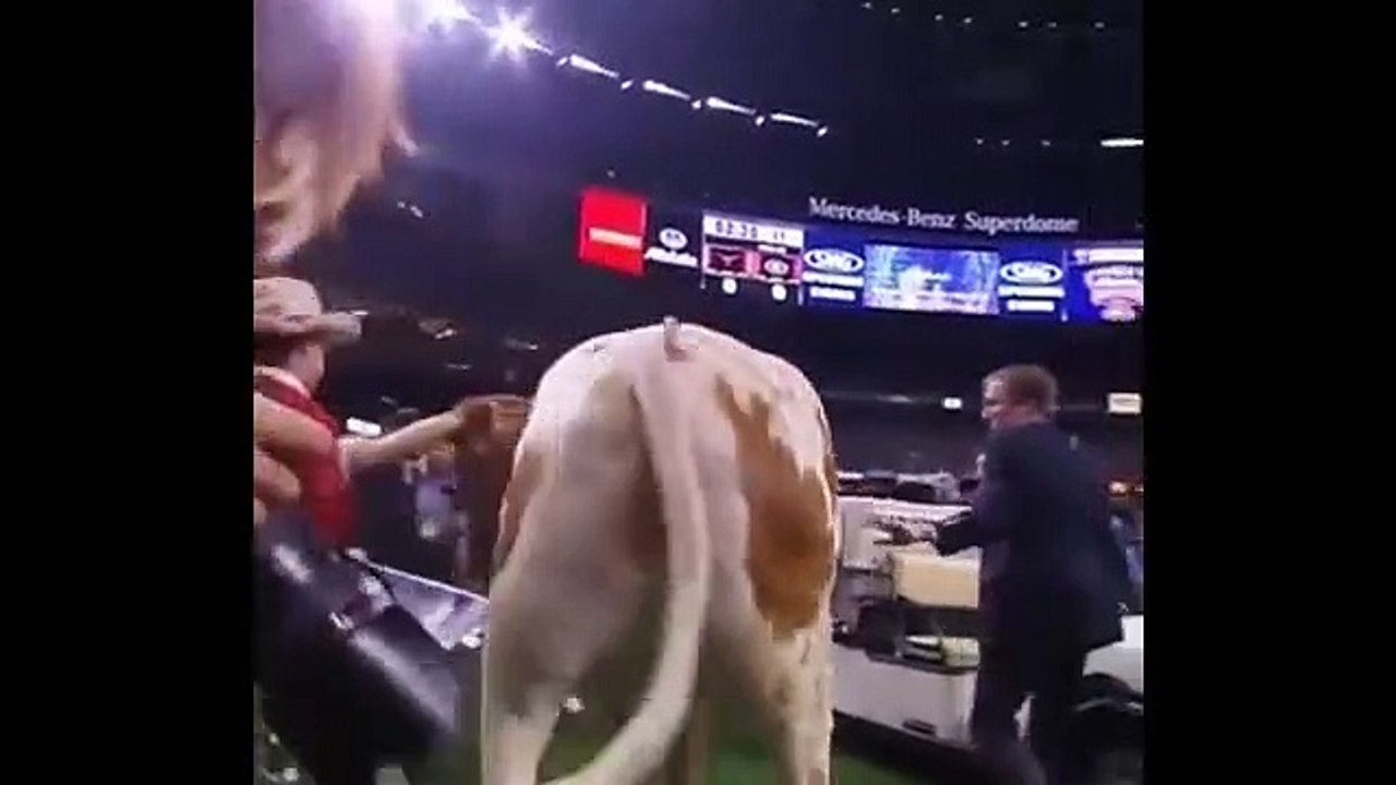 Mascotes confrontam-se