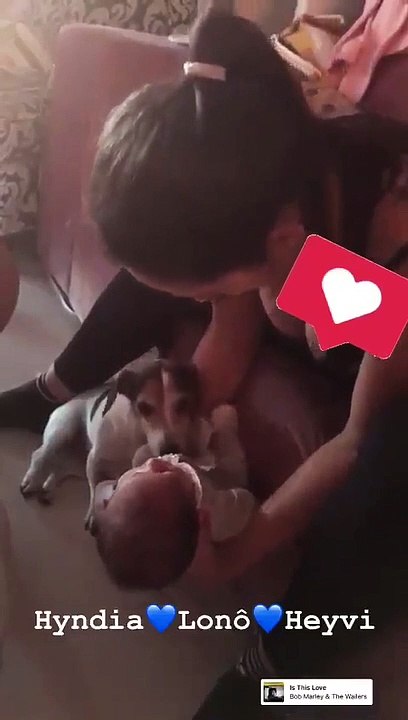 Já em casa, Rita Pereira mostra momento de ternura entre bebé e cadelas