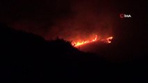 Son dakika haberi... Gece 4 helikopter devreye girdi, Bodrum'da yangın kontrol altına alındı