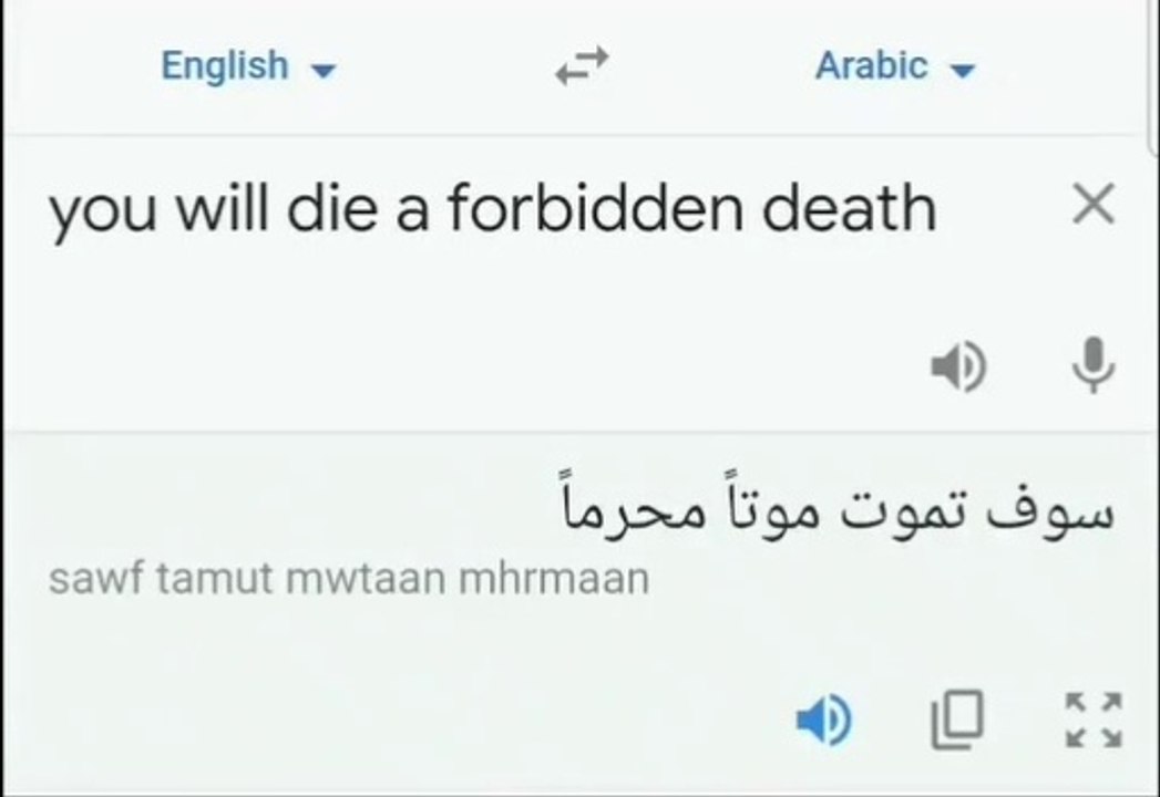 Google Translate | Bhola Record Version | Funny Meme