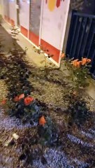 Grenoble  juillet  2021 #France #voyage   (30)