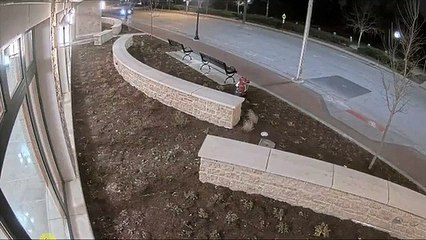 Condutor drogado colide com esquadra de polícia