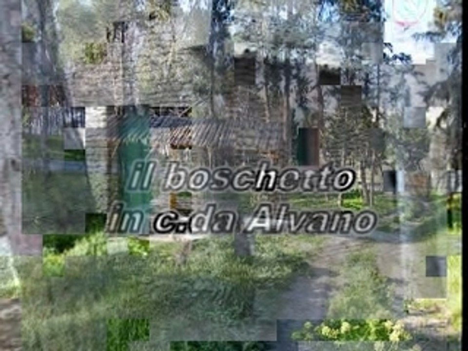 Boschetto