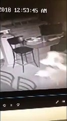 Deixa bilhete a pedir desculpa e a pedir orações após assaltar igreja