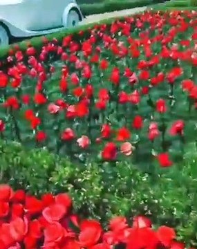 Eis o presente milionário que Kylie Jenner recebeu do namorado