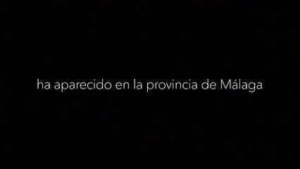 Sinais de STOP tornam-se em corações contra a violência doméstica