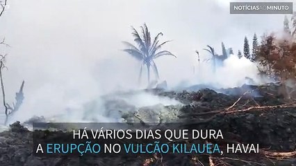 Devastação causada pelo vulcão Kilauea mostrada em imagens