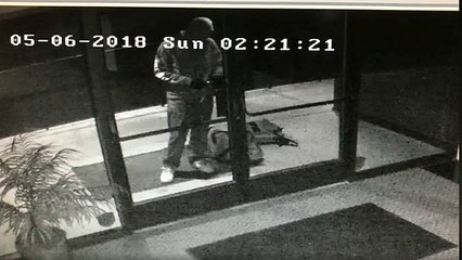 Homem apanhado em vídeo a invadir edifício privado e a festejar com dança