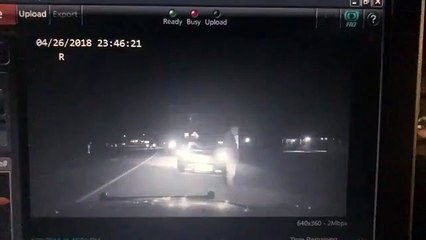 Agente da polícia obrigado a fugir a correr de uma vaca "zangada" nos EUA