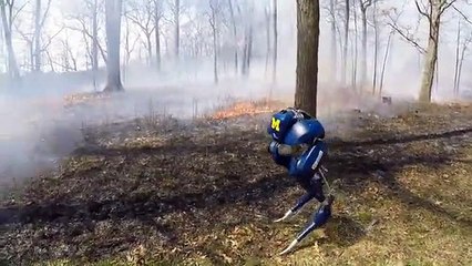 Cassie, o robot que pode vir a ser útil em cenários de incêndios