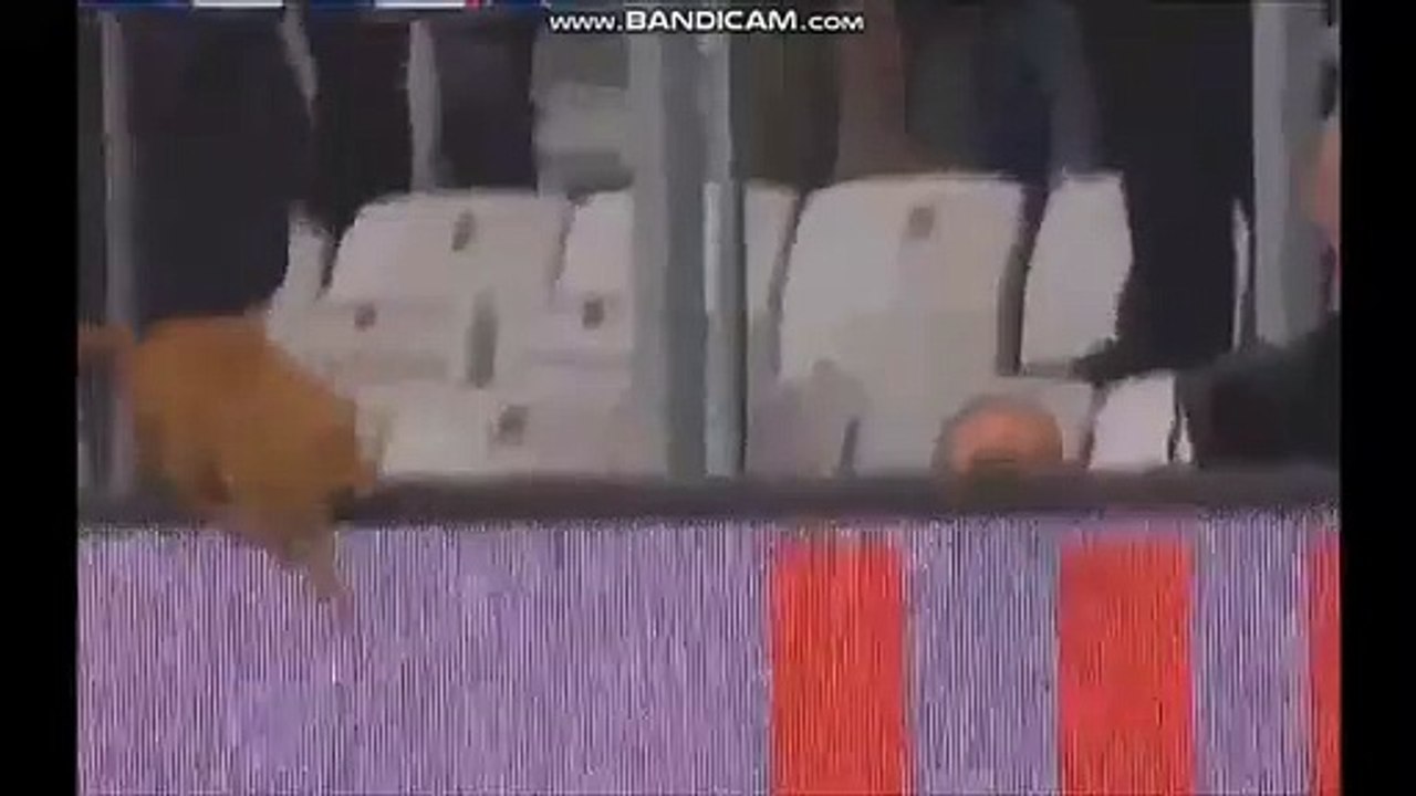 Besiktas-Bayern