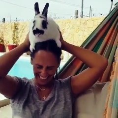 Rita Pereira: “Quando o teu primo diz que o coelho morde”