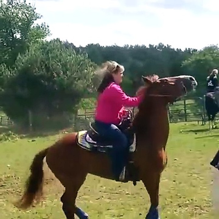 Mulher cai do cavalo