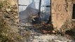 Wildfires caused by alleged arson ravage Algeria