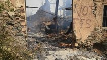 Wildfires caused by alleged arson ravage Algeria